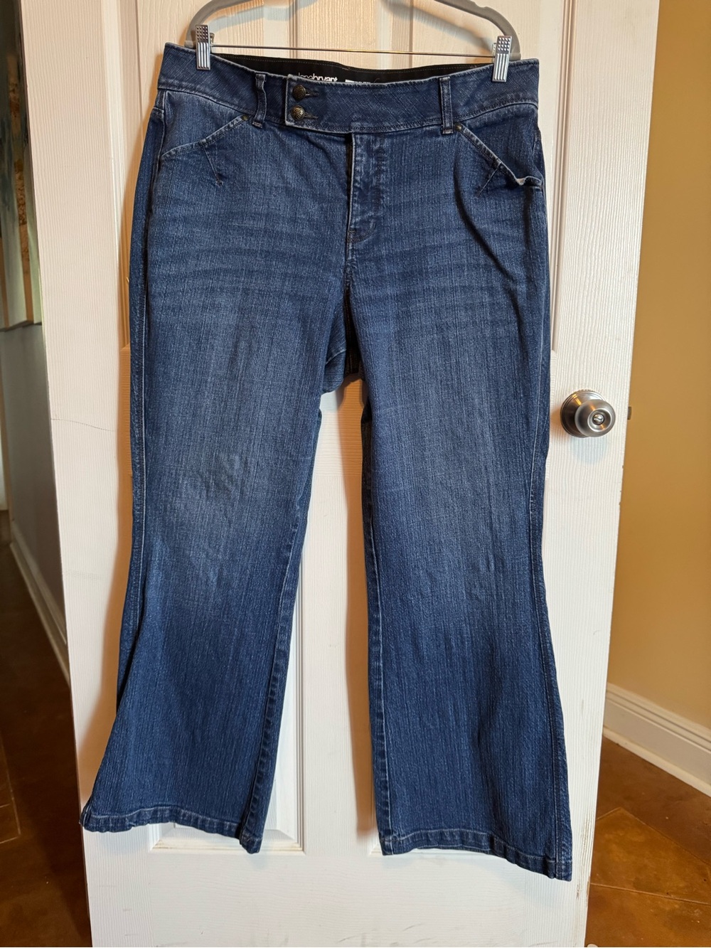 Lane Bryant Indigo Flare Jeans